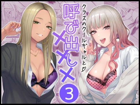 クラスのクールギャルと呼び出し×××3 [FeOワークス][d_473970][パッケージ画像]