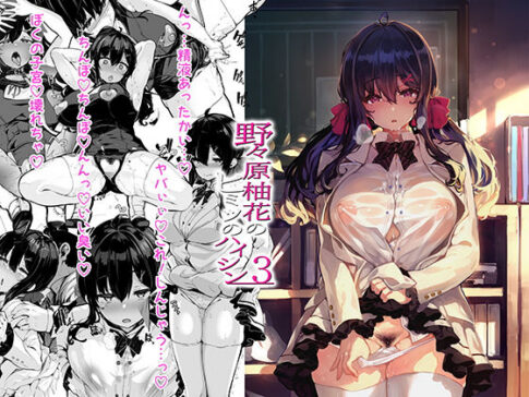 野々原柚花のヒミツのハイシン3 [LAMINARIA][d_237928][パッケージ画像]